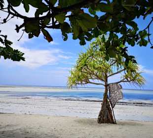 Meeresrauschen auf Sansibar 