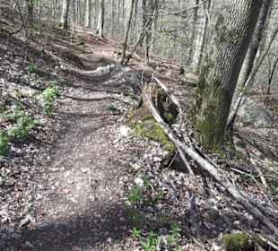 Wanderweg Hochgehkämpft