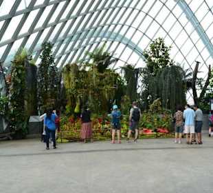Gardens by the Bay