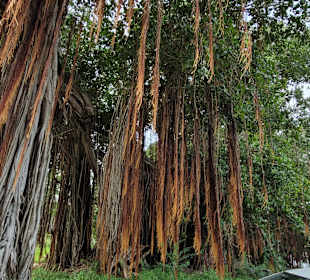 Geführte Touren Andrea Rodrige