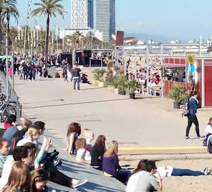 Strand von Barcelona