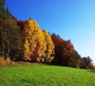 Farbenpracht pur im Affalterthal