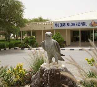 Falcon Hospital