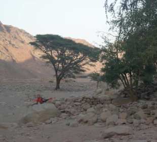 Private Jeep Safari mit Your Private TOURS EGYPT