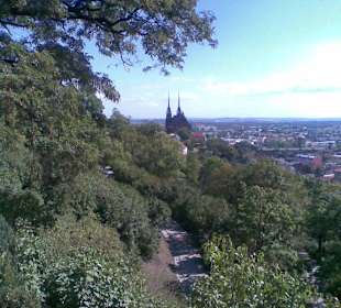 Mesto