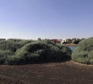 Stadtrundgang El Gouna