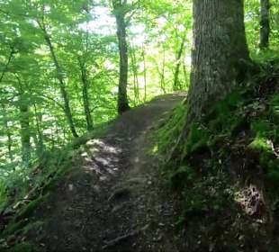 Wandern Schenkenzell