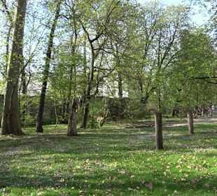 Slackline Unterer Schlossgarten