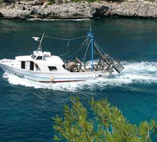 Auf dem Weg nach Hause