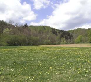 Heuscheuerle - Anhausen