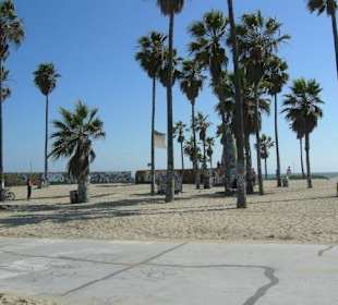 Venice Beach