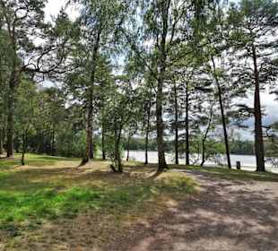 Am Ufer des Großen Bullensees
