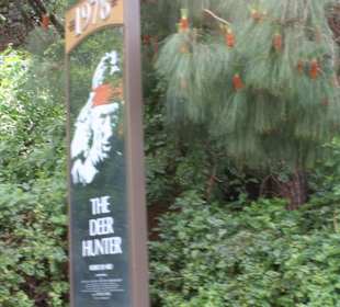 Le commemorazioni dei film