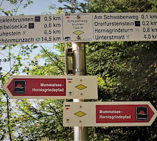Seebach - Mummelsee-Hornisgrindepfad