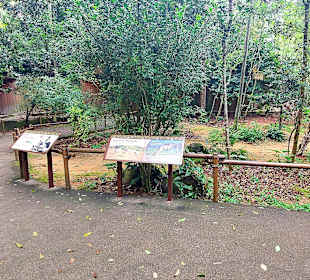 Singapur Zoo