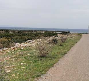 Wandern Didim