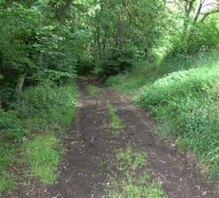 Wanderweg - Alter Steinbruch Pfaffenberg RundeWand