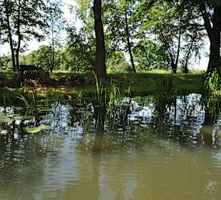 Radduscher Naturhafen