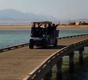 Golfmobil zum Einstieg ins Hausriff