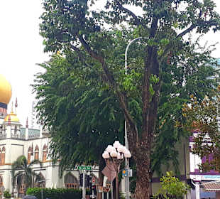 Arab Street