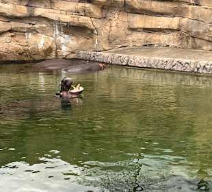Wildlands Zoo in Emmen 