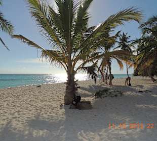 Saona live