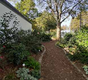 Chinesisches Teehaus im Luisenpark
