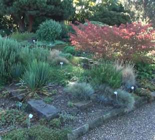 Steingarten - Berggarten