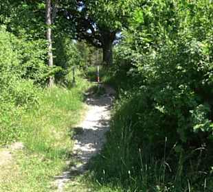 Ruine Hohenmelchingen