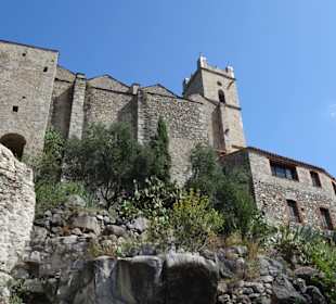 Blick von der Altstadt auf die Kirche