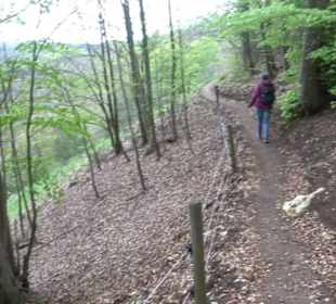 Aussichtspunkt Bürzel