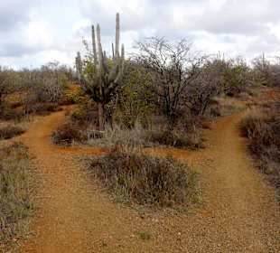 An der Weggabelung rechts halten