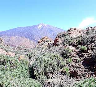 Teide Nationalpark