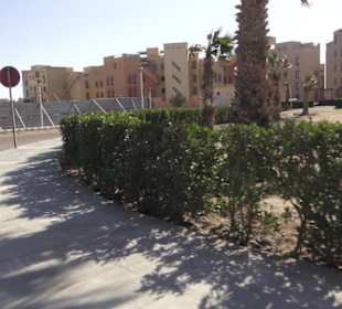 Stadtrundgang El Gouna