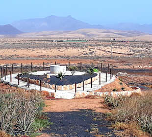 Tagesausflug Inselrundfahrt