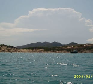 Blick vom Wassertreter