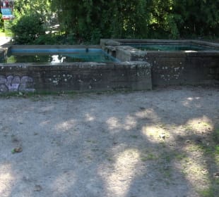 Stadtgarten Heidelberg