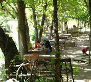 Hier gibt es die leckersten Forellern