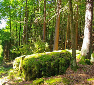 Der Therapeutische Wanderweg