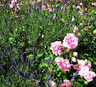 Rundgang durch den Park Platz des Republik