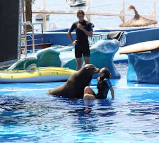 Marineland Mallorca