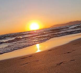 Strand Playa/Platja de Palma