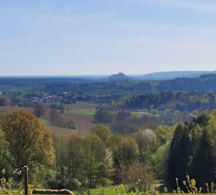 Blick auf Burg Güssing