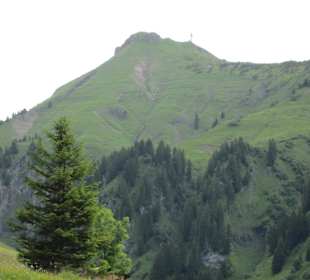 Blick vom Alpgang auf den Gipfel