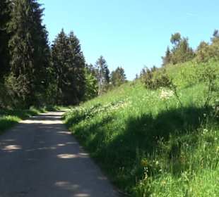 Magolsheimer Buchtalweg