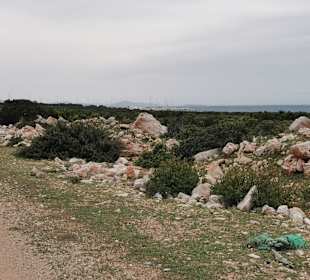 Wandern Didim