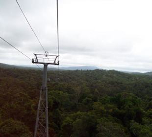 Blick aus der Skyrail