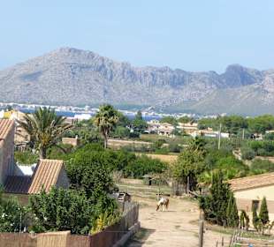 Blick von der Stadtmauer
