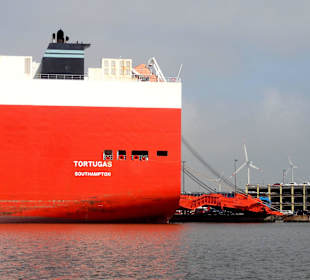 Autotransporter bei der Beladung