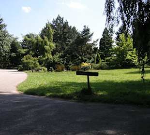 Noch ein schattiger Platz zum Ausruhen